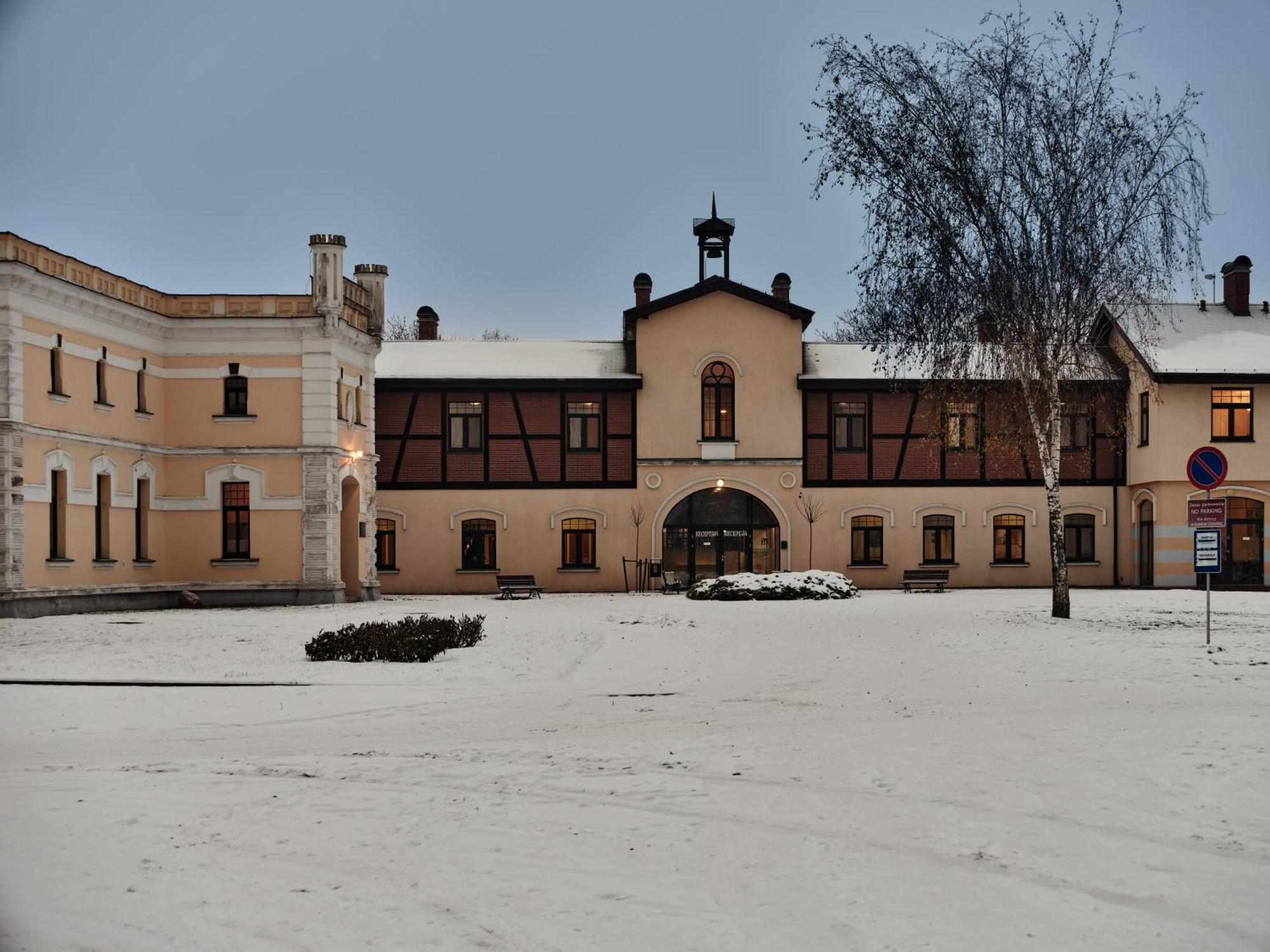 Palac Potockich W Bedlewie Bedlewo Exterior foto