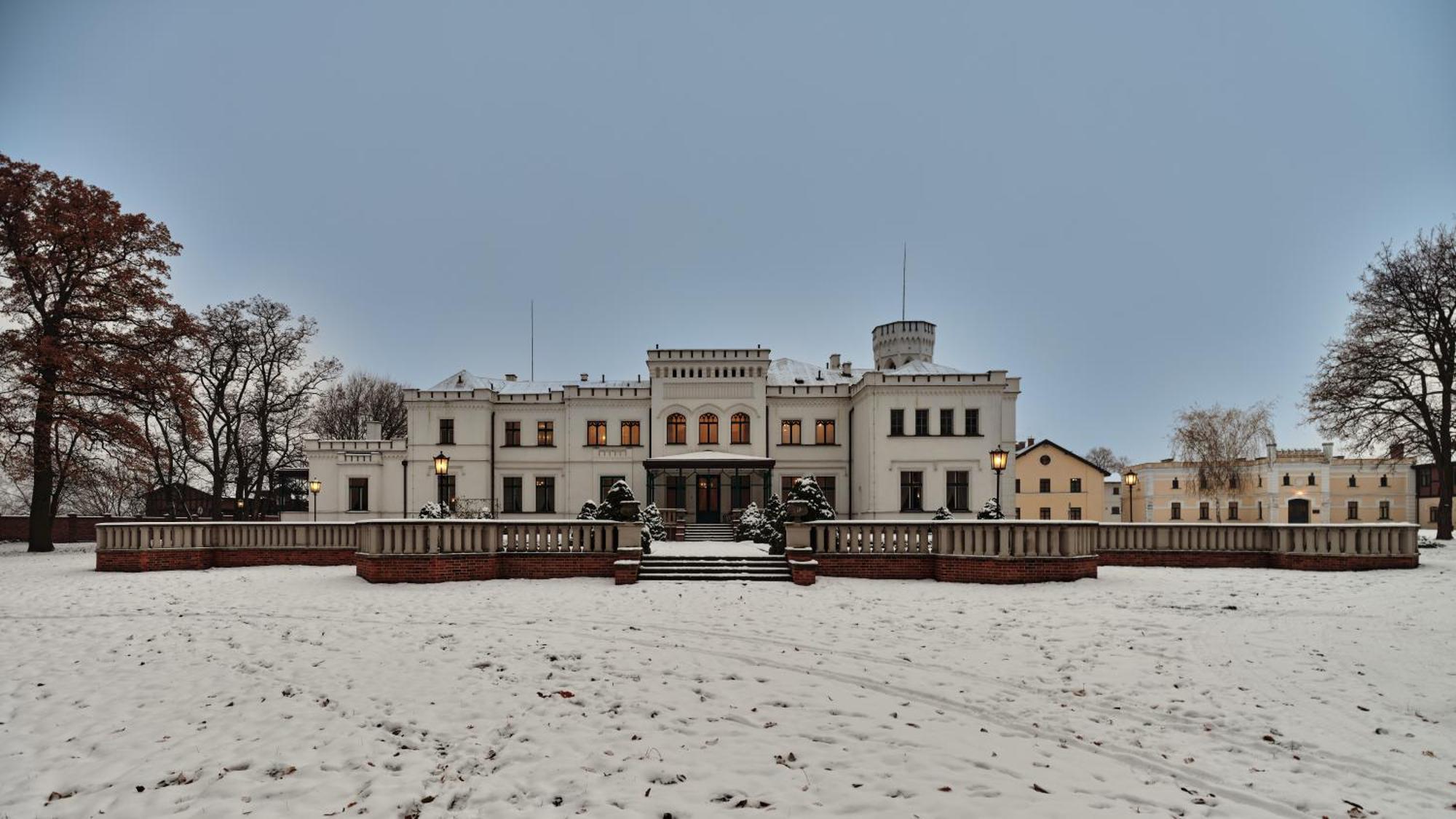 Palac Potockich W Bedlewie Bedlewo Exterior foto